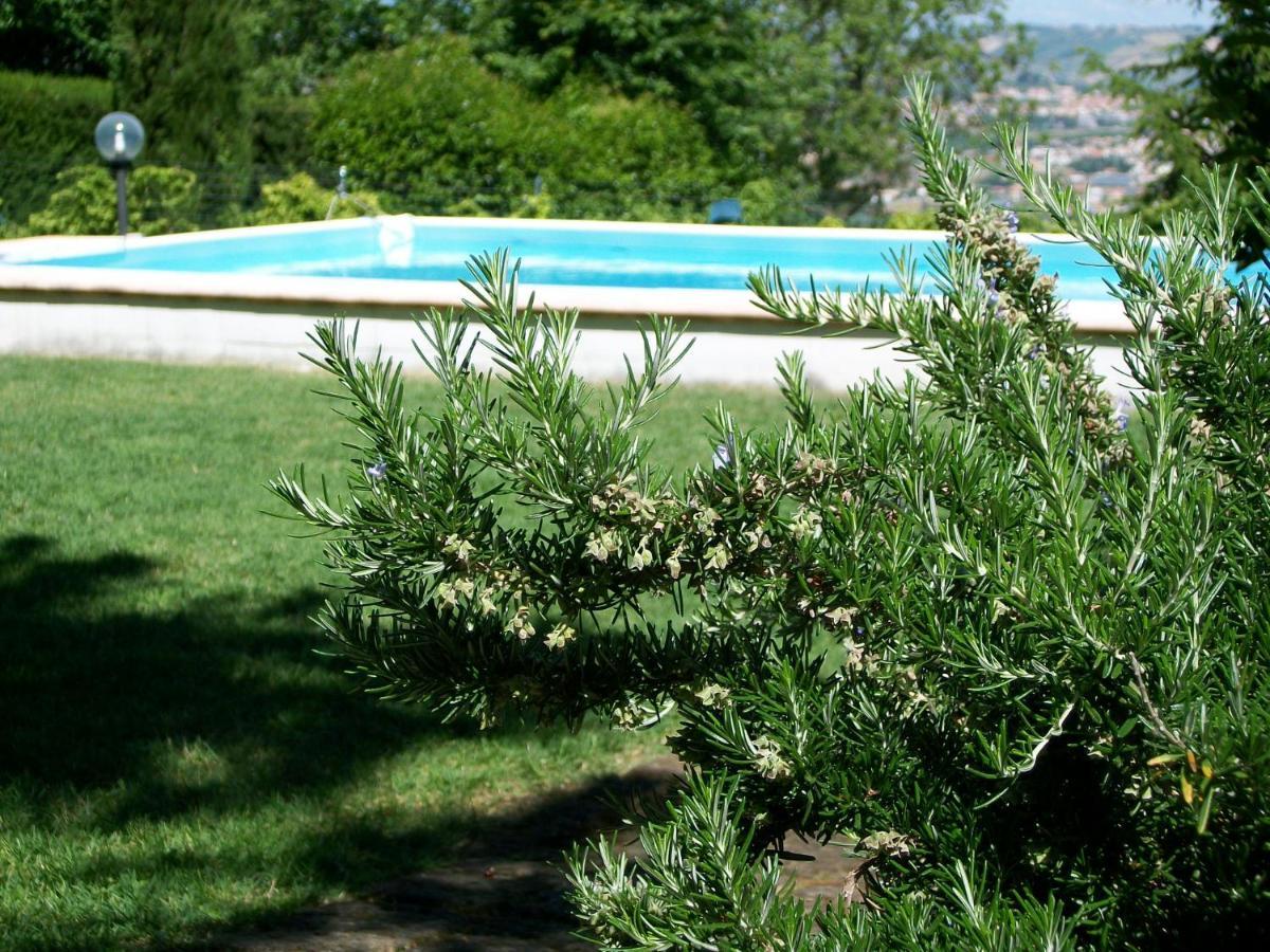 B&B Luna Blu Montesilvano Exterior photo
