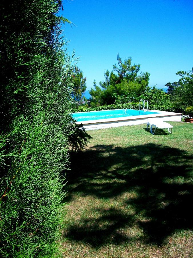 B&B Luna Blu Montesilvano Exterior photo